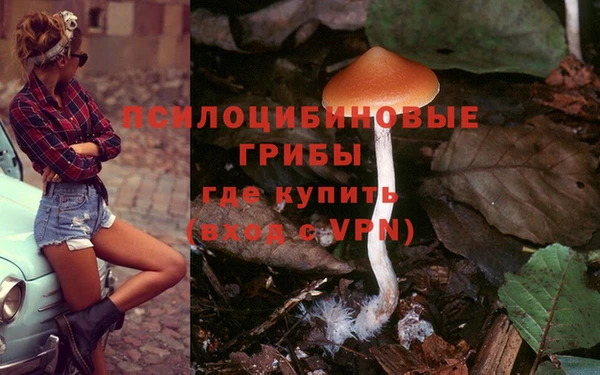 а пвп мука Вяземский