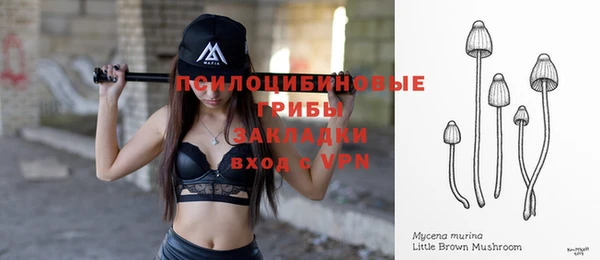 а пвп мука Вяземский