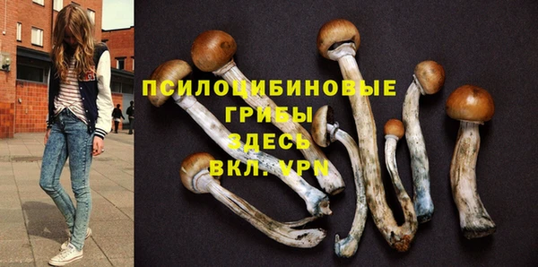 дурь Вязники