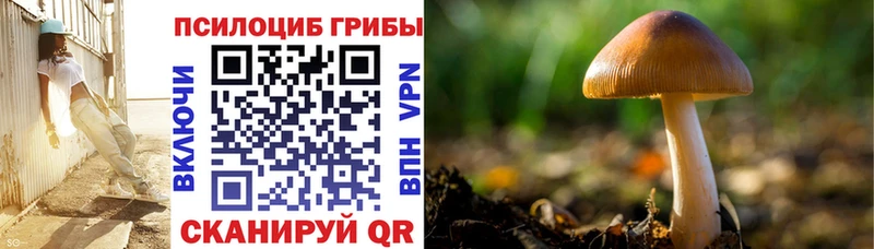 Псилоцибиновые грибы Psilocybe  где продают   блэк спрут tor  Первомайск 